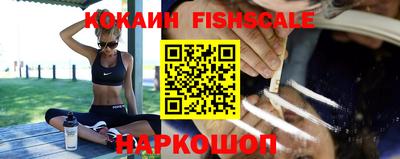 крисы Ирбит