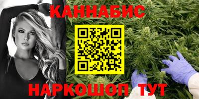 крисы Ирбит