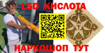 крисы Ирбит