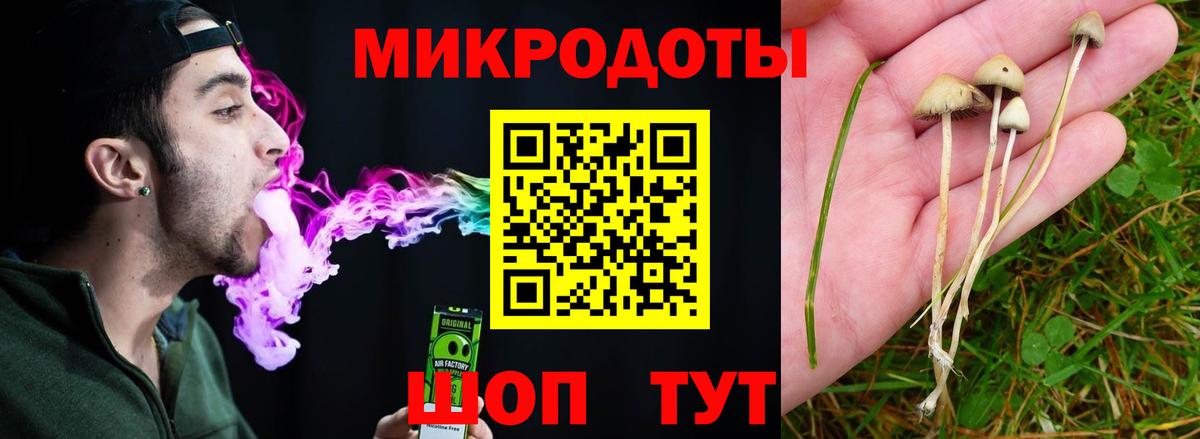 Галлюциногенные грибы Psilocybine cubensis  Вход с VPN  Псилоцибиновые грибы Cubensis  цена наркотик  Лабинск 